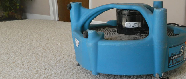 Fast Dry Carpet Cleaning