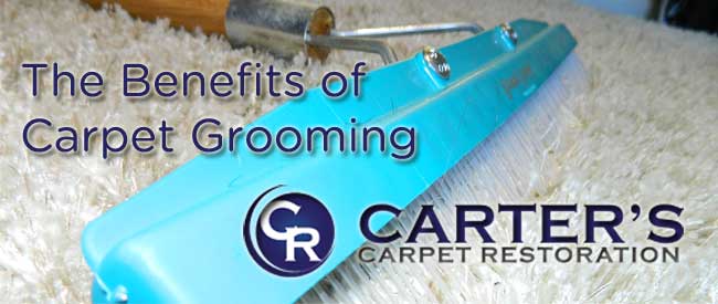 The Benefits of Carpet Grooming Carter's Carpet Restoration