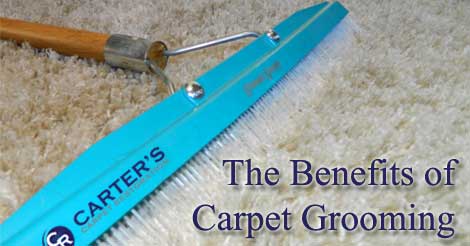 carpet grooming, carpet care, carpet cleaning