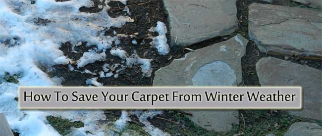save your carpet from winter weather