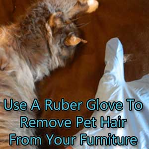 how to remove pet hair from furniture