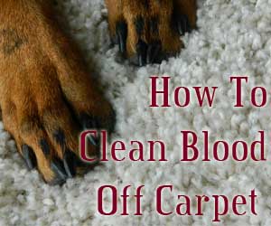carpet cleaning tips