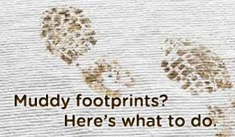 What to do about muddy footprints on carpet.