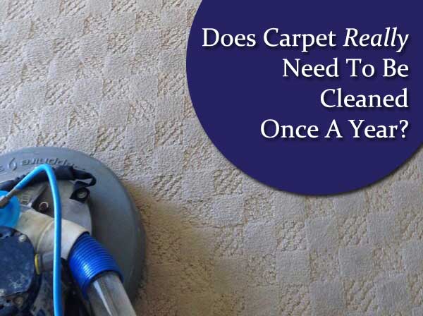 carpet cleaning, carpet care, steam cleaning