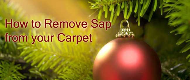 remove sap from carpet