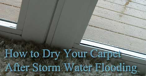 storm water flood, carpet drying, carpet flood water,