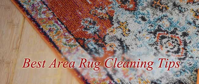 best area rug cleaning
