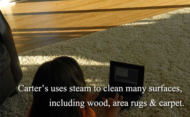 clean wood floor and area rug.