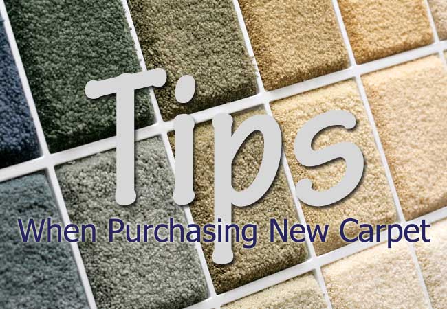 carpet cleaner
purchasing new carpet
cleaning tips
carpet cleaning
