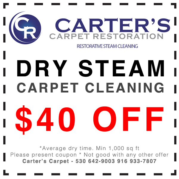 S Carters Carpet Restoration