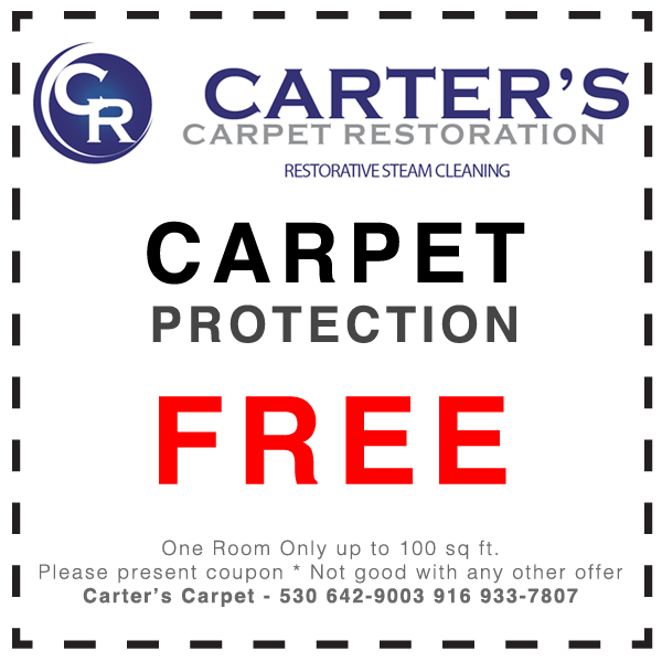 carpet-protection-free-coupon
