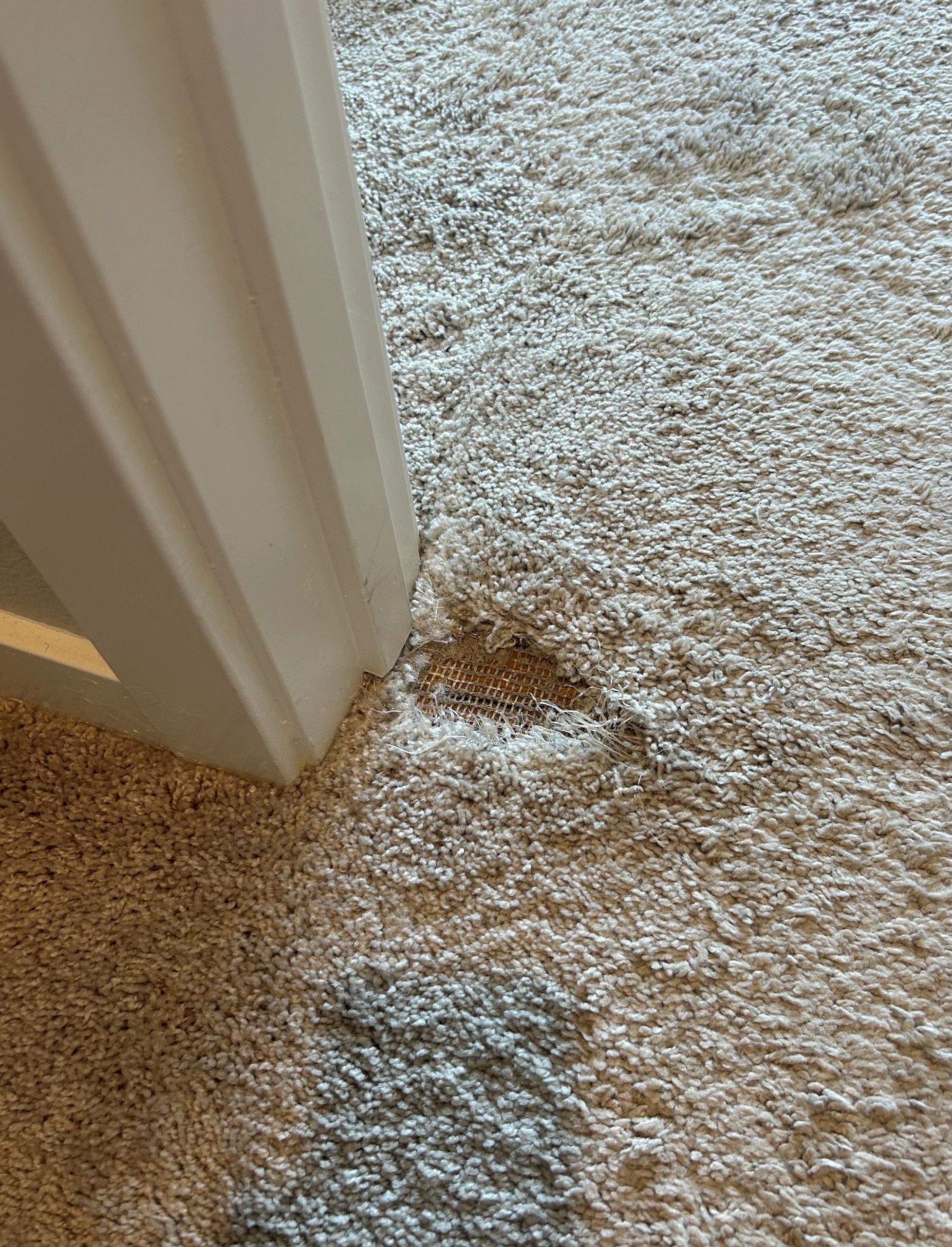 carpet-repair-before-doorway-damage-el-dorado-hills