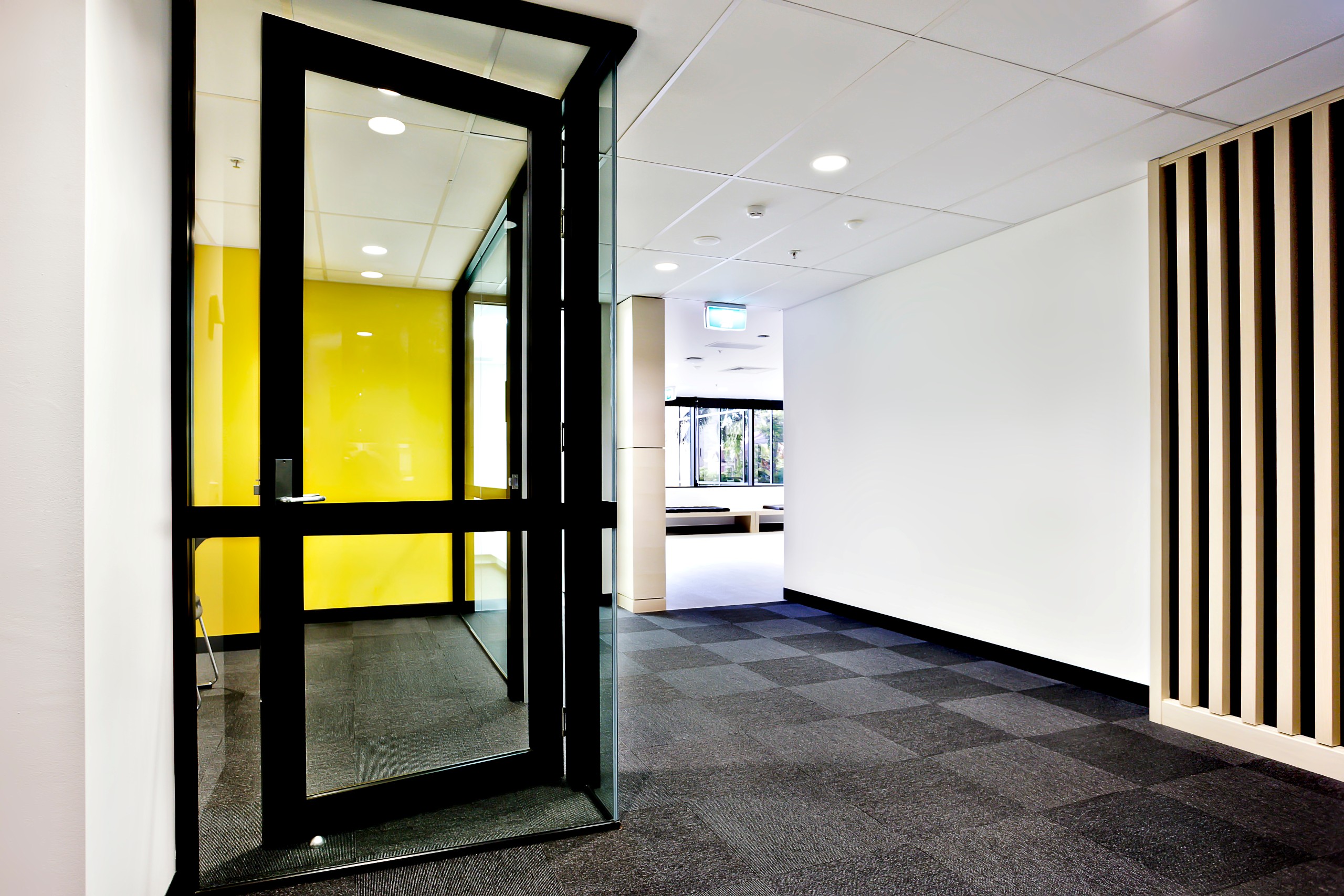 clean-carpet-modern-office