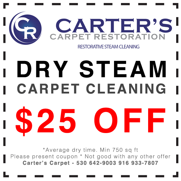 dry-steam-coupon