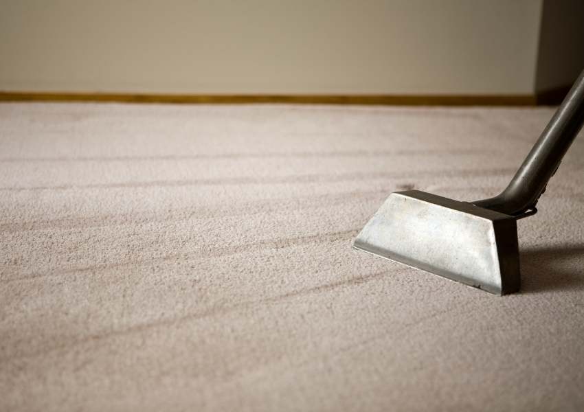 best carpet cleaning services in Pilot Hill