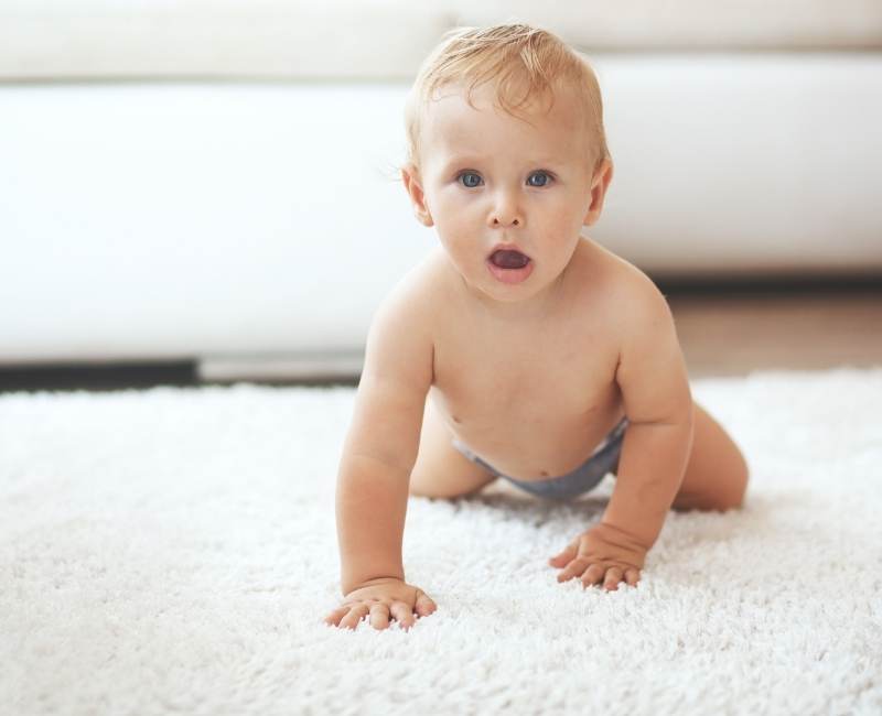 the complete beginners guide to carpet cleaning