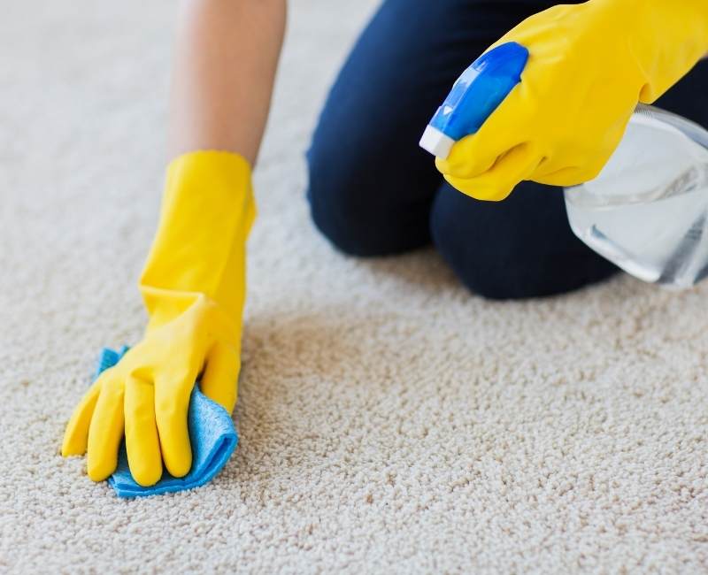 complete beginners guide to carpet cleaning