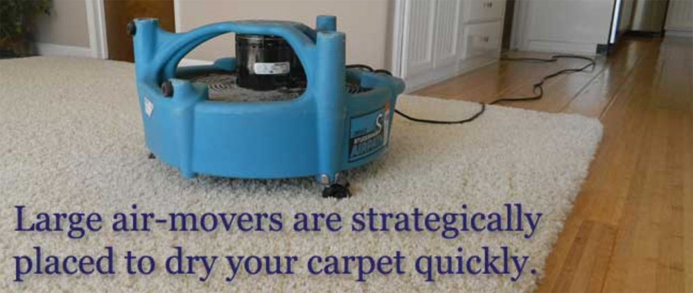 floor cleaning Placerville CA