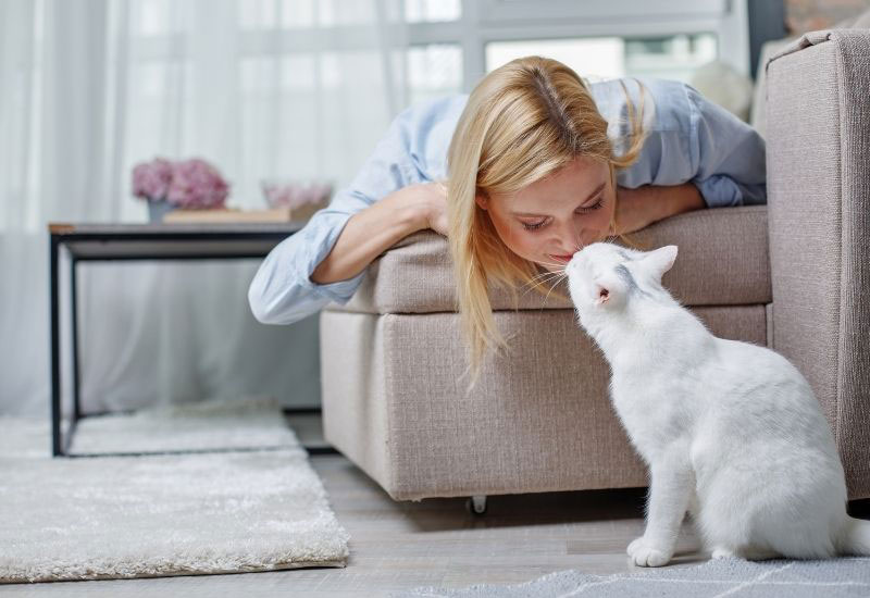 carpet cleaning for pet owners
