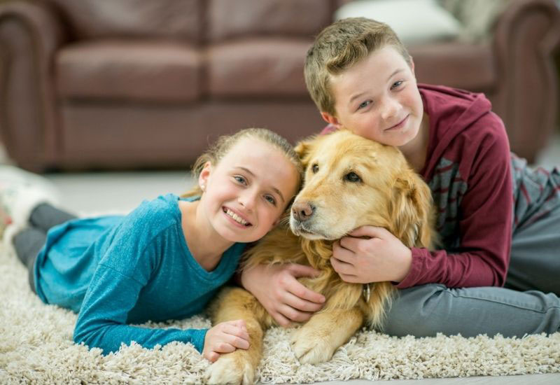 carpet cleaning tips for pet owners