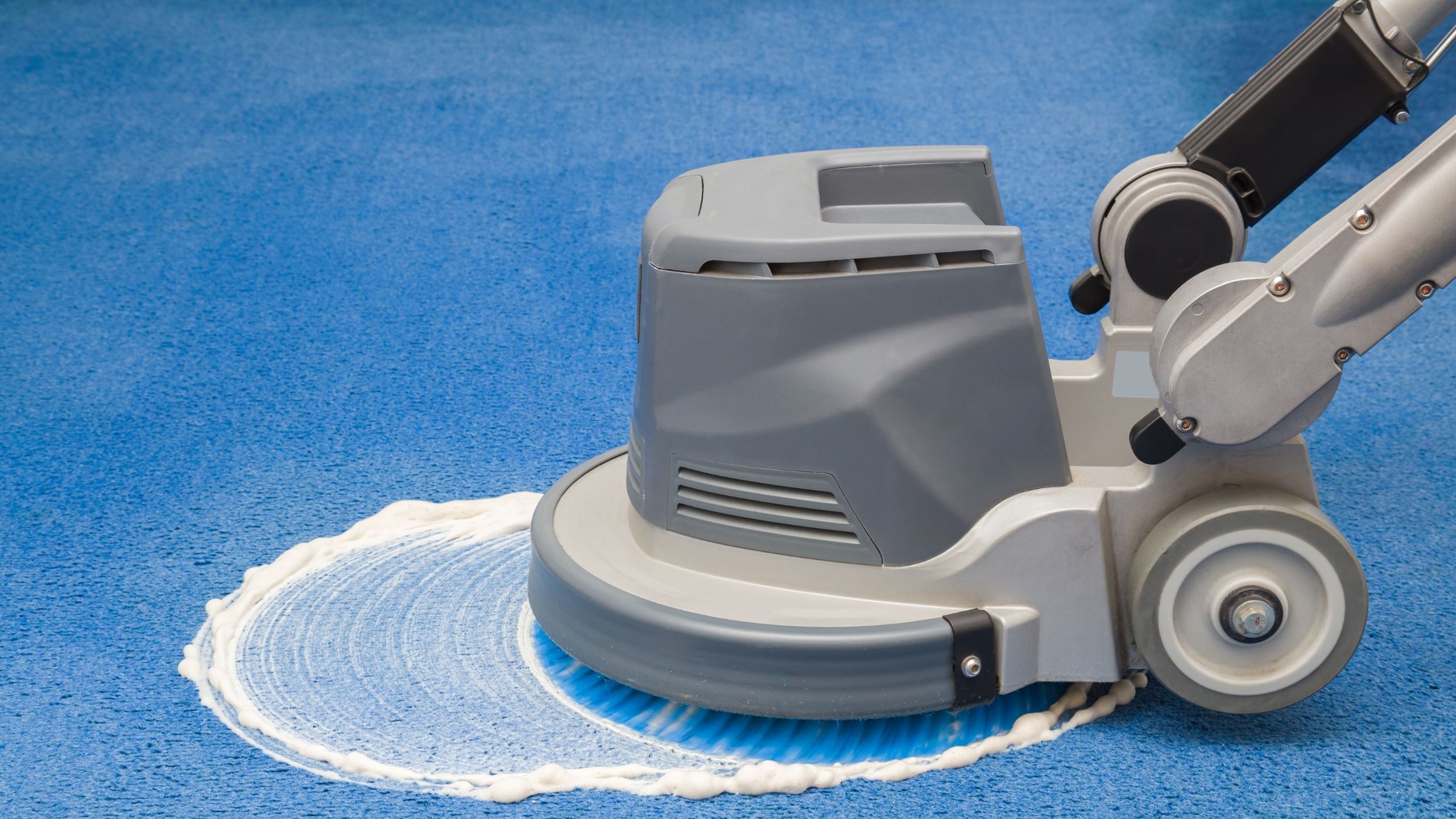 best carpet steam cleaning services