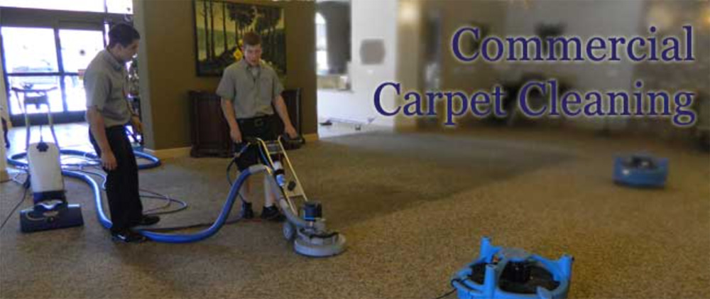 Commercial Carpet Cleaning Edh 1 Service