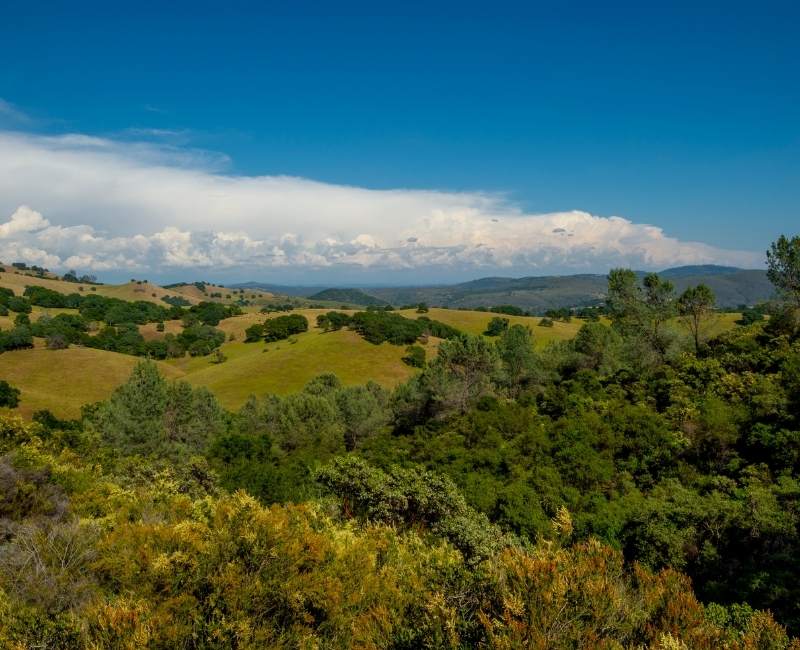 15 reasons to move to El Dorado County, CA